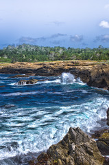 Point Lobos park, CA