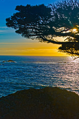 Fototapeta na wymiar Point Lobos park, CA