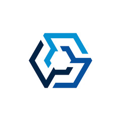 Modern Hexagon Network Logo Template