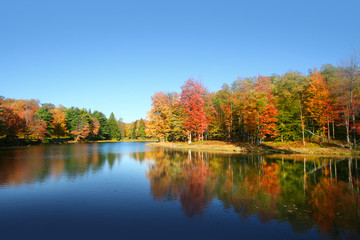 Allegheny national forest