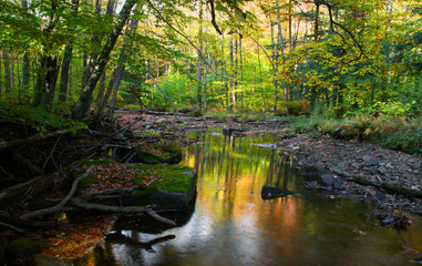 Obraz premium Autumn stream in sun set