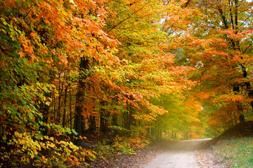 Beautiful alley in colorful autumn time