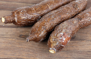 manioc root