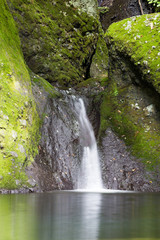 Fototapeta premium 亀が淵