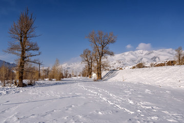 Fototapeta na wymiar mountain road snow winter trees
