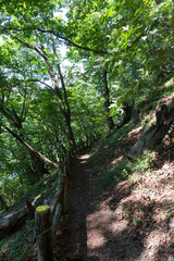 湖畔のハイキングコース