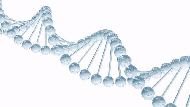 DNA model - looped animation