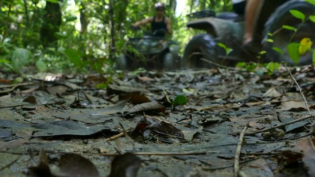 action of ATV in the rain forest of Thailand 
