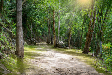 Natural path at the Hellfire Pass Trail