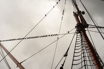 Fototapeta premium Ship Rigging and Sail Rope with Masts