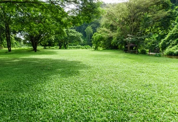 Printed kitchen splashbacks Destinations green lawn landscape with tree shadow in park