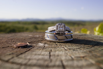 Wedding rings on a wooden log in a vineyard
