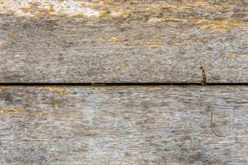 inside brown log wood texture surface background