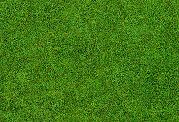   Save Download Preview Background and texture of Beautiful green grass pattern from golf course