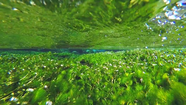 奥日光の清流