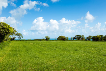 Saturated colors of spring. Beautiful view of the meadow and sky