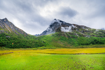 Landscape of autumn at Chongu pasture in Yading national level reserve, Daocheng, Sichuan Province, China.