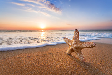 Fototapeta na wymiar Sandy summer beach with blur sea on background.