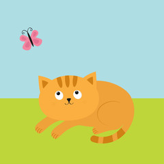 Cute red orange cat lying on grass and looking at flying pink butterfly. Mustache whisker. Funny cartoon character. Flat design.