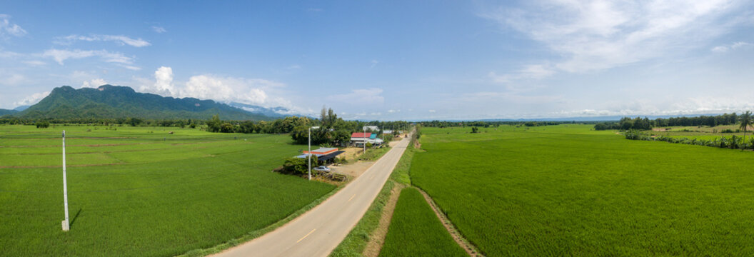 Aerial panorama scene of the rural road in Thailand with the green rice fields 