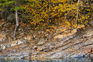 beautiful mountain stream and rocky shore in autumn forest