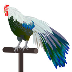 鶏（酉年）イラスト