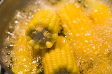 Boiled corn in a pot.