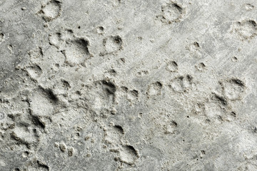 Relief surface cured concrete.
