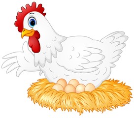 Cute hen brooding her egg