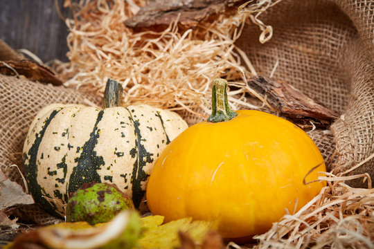 Pumpkins, straw and jute bag on table