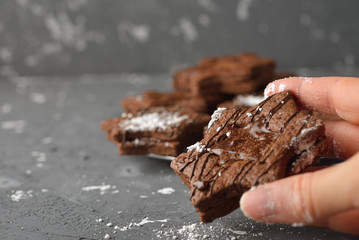 Delicious chocolate cookies in a hand