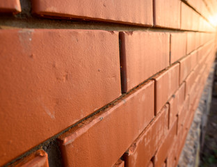 New Red Brick Wall in Sunlight