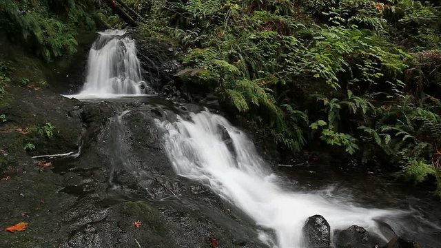 High definition long exposure movie of Sheppard Dell Falls along Columbia River Gorge in Portland Oregon 1080p