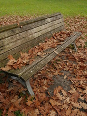 Fototapeta na wymiar bench with leafes in autumn
