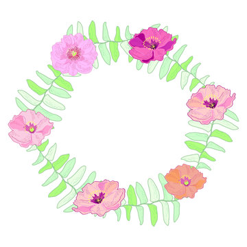 Flower frame with peonies. Background. Vector.