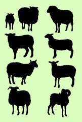 Naklejka premium black sheep silhouette