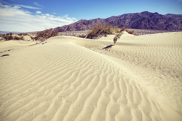Vintage toned dune in the Death Valley, USA