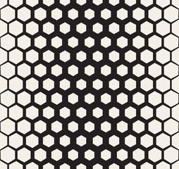 Vector Seamless Black and White Halftone Hexagonal Grid Pattern