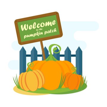 welcome pumpkin patch