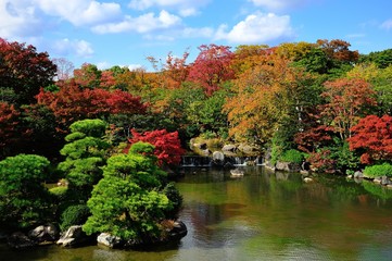 Fototapeta na wymiar 秋晴れの日本庭園の紅葉