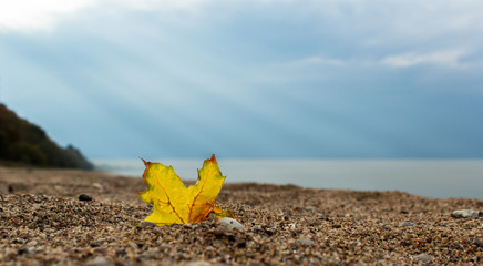 Autumn on the Baltic sea