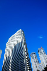 Fototapeta na wymiar 新宿高層ビル 