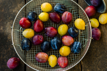 Organic red, blue and yellow plums in the sieve on the wooden table. Dark rustic style, top view  