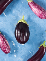 Eggplants on blue background. Vertical
