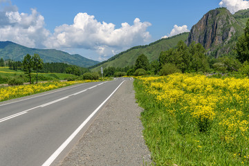 road mountains sky asphalt flowers