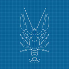 Lobster. Hand drawn sketch on blueprint background
