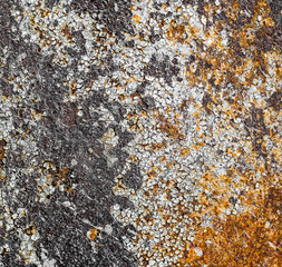 Rusty surface texture