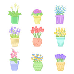 Flowers in pots. Set of spring flowers. Vector illustration isolated on white background.