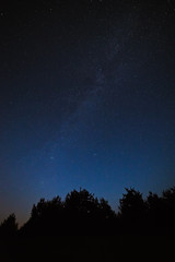 Fototapeta na wymiar Night sky with bright stars. Against the background of tree crow