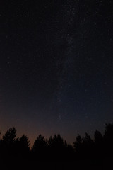 Fototapeta na wymiar Night sky with bright stars. Against the background of tree crow